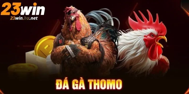Đá gà thomo